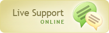 support online